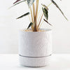 Angus & Celeste - Folia Plant Pot - Grey