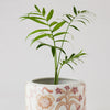 Angus & Celeste - Decorative Succulent Pot - Bohemian Dusk