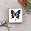 Buttonworks - Timber Brooch - Mountain Blue Butterfly