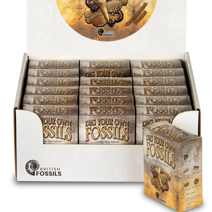 British Fossils - Dig Your Own Fossils