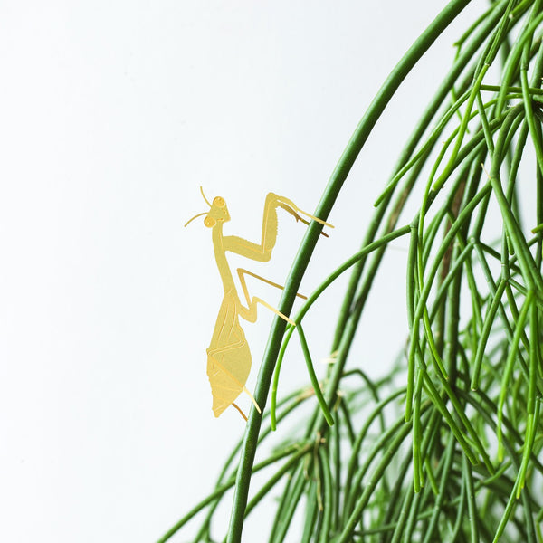 Another Studio - Plant Animal - Praying Mantis