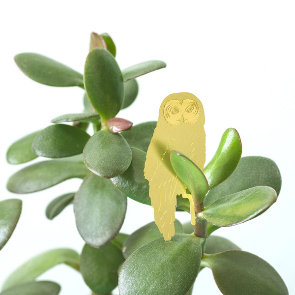 Another Studio - Plant Animal - Owl