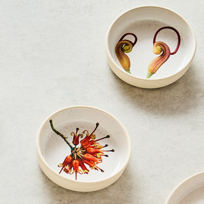 Angus & Celeste - Australian Botanicals - Small Bowl - Grevillea Buds