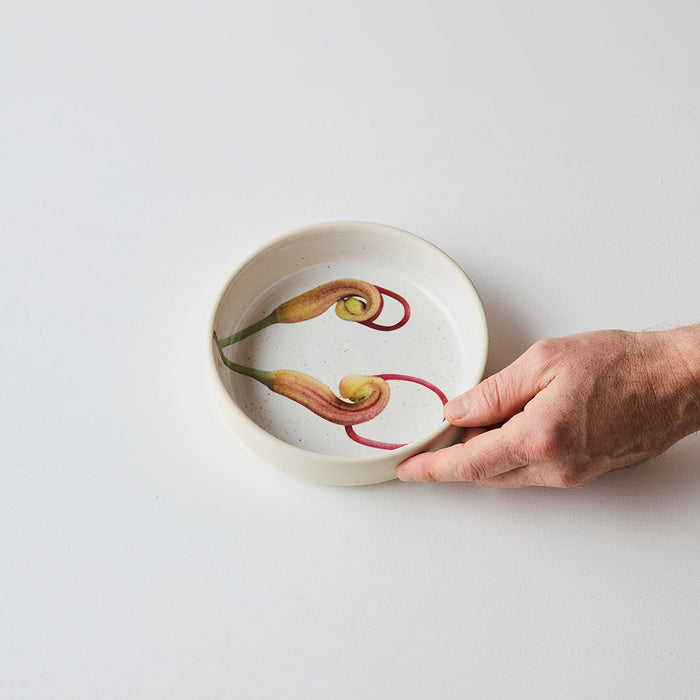 Angus & Celeste - Australian Botanicals - Small Bowl - Grevillea Buds