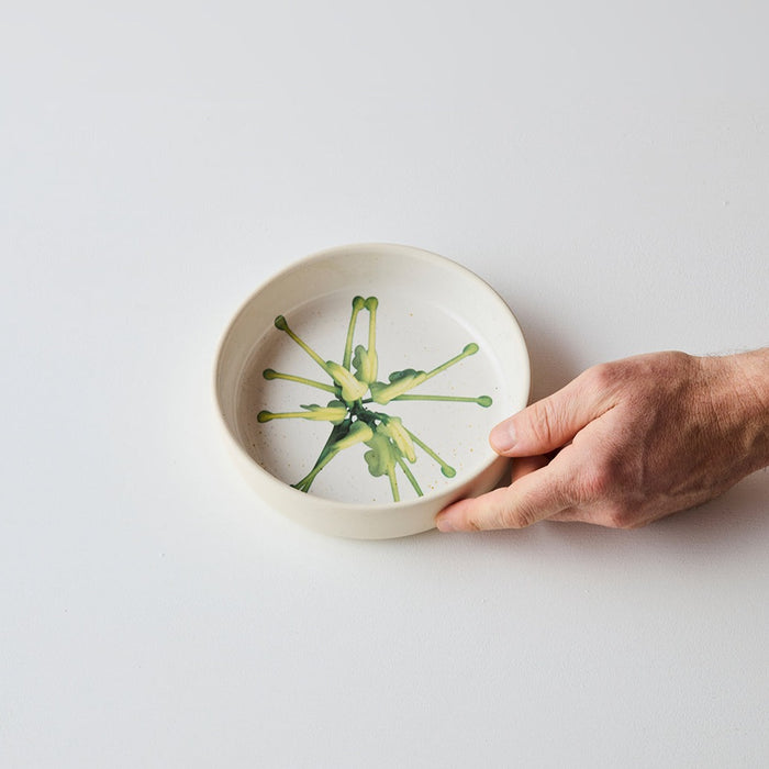 Angus & Celeste - Australian Botanicals - Small Bowl - Grevillea Green Star