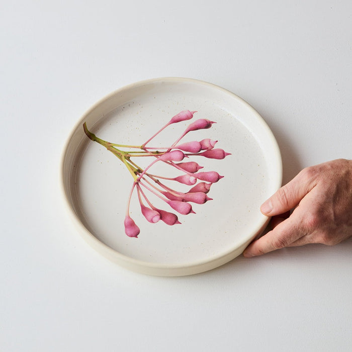 Angus & Celeste - Australian Botanicals - Plate - Pink Eucalyptus Buds