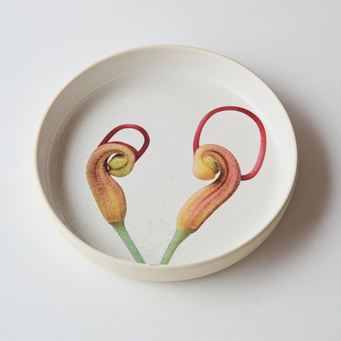 Angus & Celeste - Australian Botanicals - Serving Bowl - Grevillea Buds