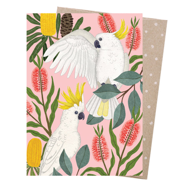 Negin Maddock - Greeting Card - Aussie Squawkers