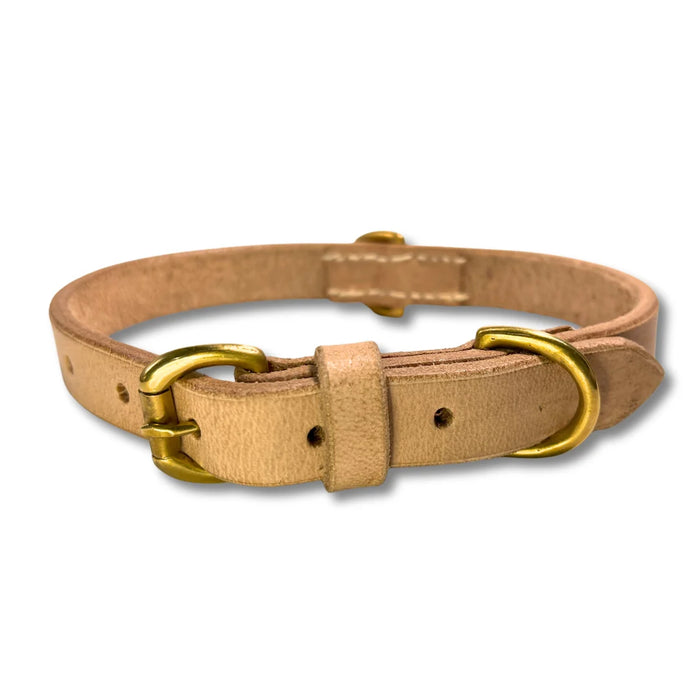 Georgie Paws - Bald Dog Collar - Raw