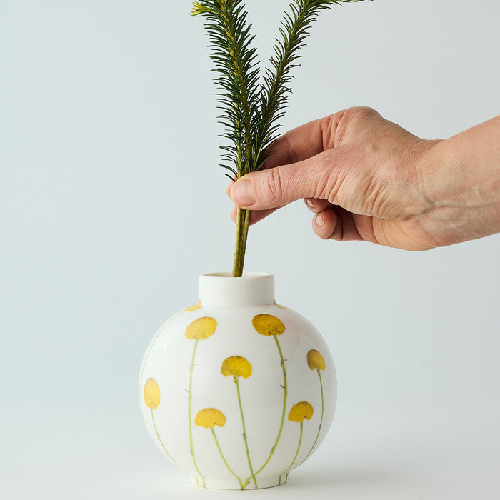 Angus & Celeste - Bulb Vase - Wattle