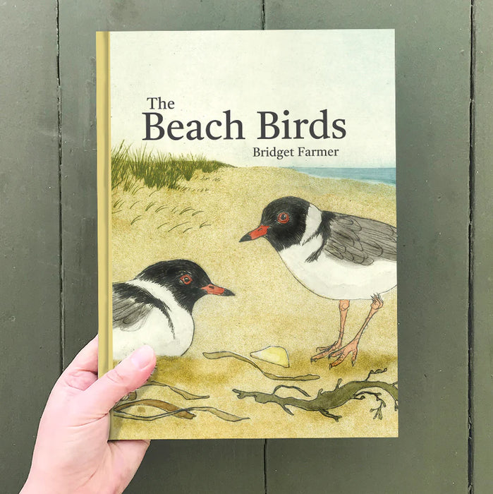 The Beach Birds - Lift The Flap Book - Bridget Farmer