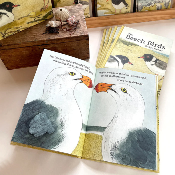 The Beach Birds - Lift The Flap Book - Bridget Farmer