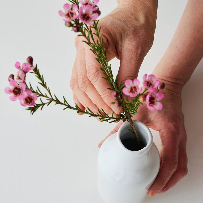 Angus & Celeste - Botanic Vase - Brown Eucalyptus