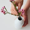 Angus & Celeste - Botanic Vase - Flannel Flower