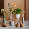 Myrtle & Moss - Botanical Collection - Diffuser in Ceramic Vessel - Flora