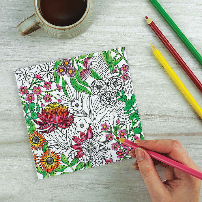 Claire Ishino - Boxed Colouring Cards - Pack of 6