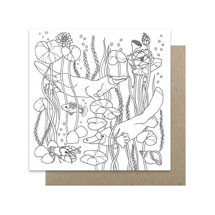 Victoria McGrane  - Boxed Colouring Cards - Pack of 6