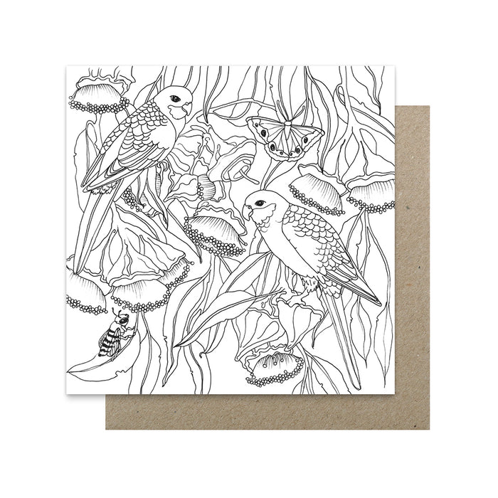 Victoria McGrane  - Boxed Colouring Cards - Pack of 6