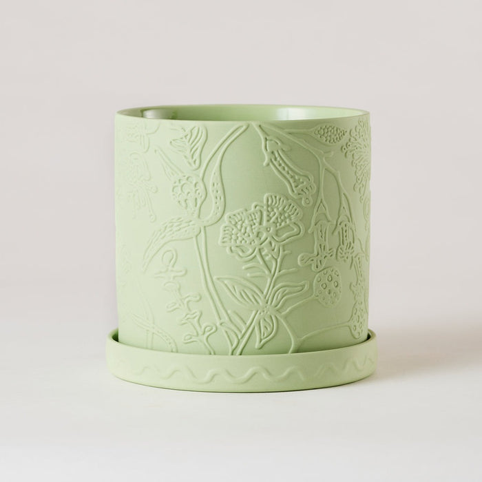 Angus & Celeste - Callista Plant Pot - Lime