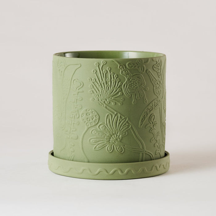 Angus & Celeste - Callista Plant Pot - Olive