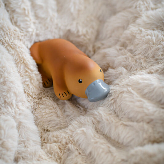 Tikiri Organics - My First Australian Animal - Platypus in the Box