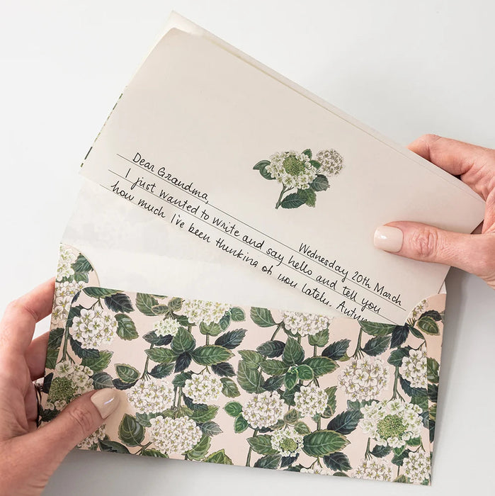 Bespoke Letterpress - 10 Pack DL Envelopes - Hydrangea