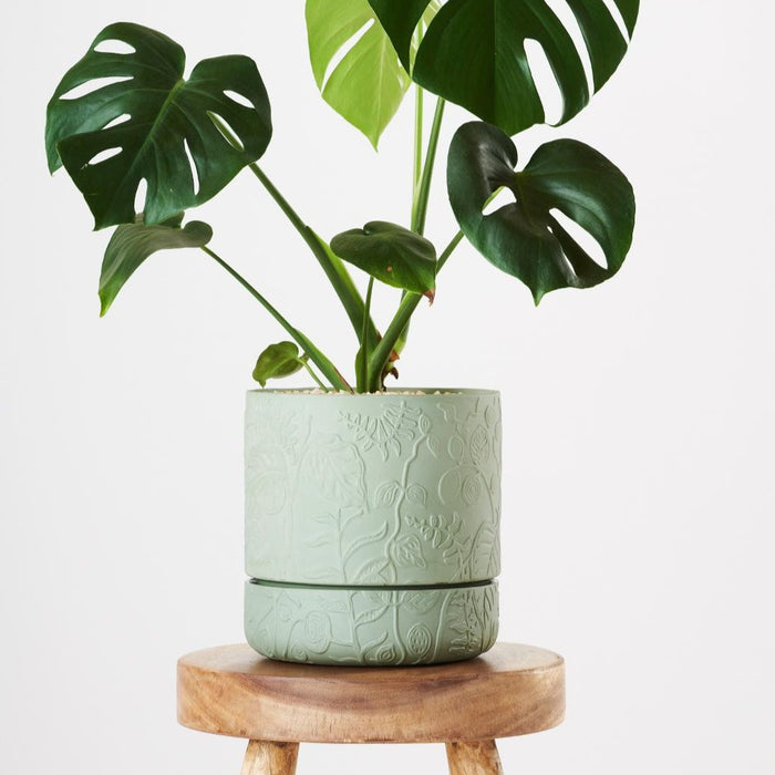 Angus & Celeste - Folia Plant Pot - Olive Green