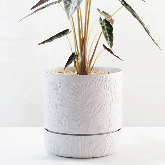 Angus & Celeste - Folia Plant Pot - Grey