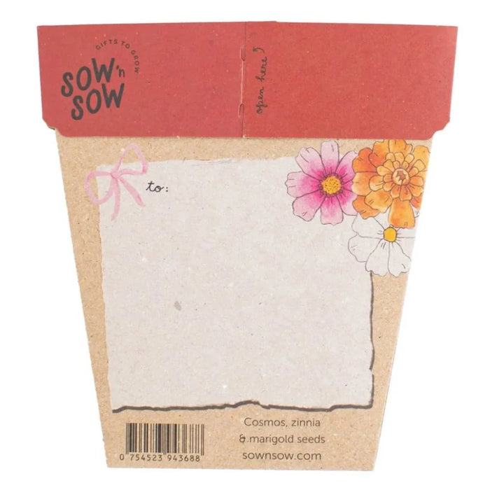 Sow 'n Sow - Gift of Seeds - Christmas Greetings - Xmas Blooms