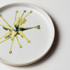 Angus & Celeste - Australian Botanicals - Plate - Grevillea Green Star