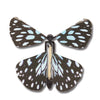 Heebie Jeebies - Wind Up Australian Butterfly Flier