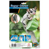 Heebie Jeebies - Wind Up Sugar Glider Flier