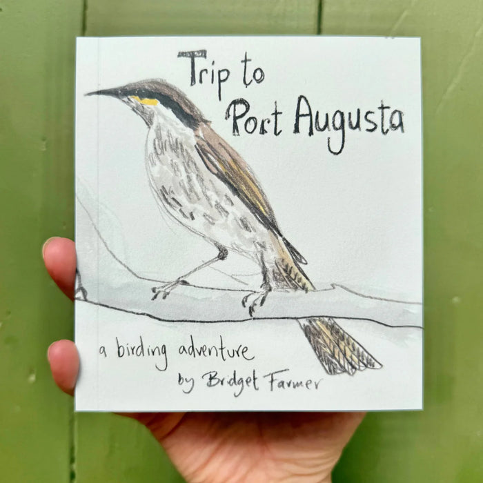 Trip To Port Augusta - Artist Minibook - Bridget Farmer