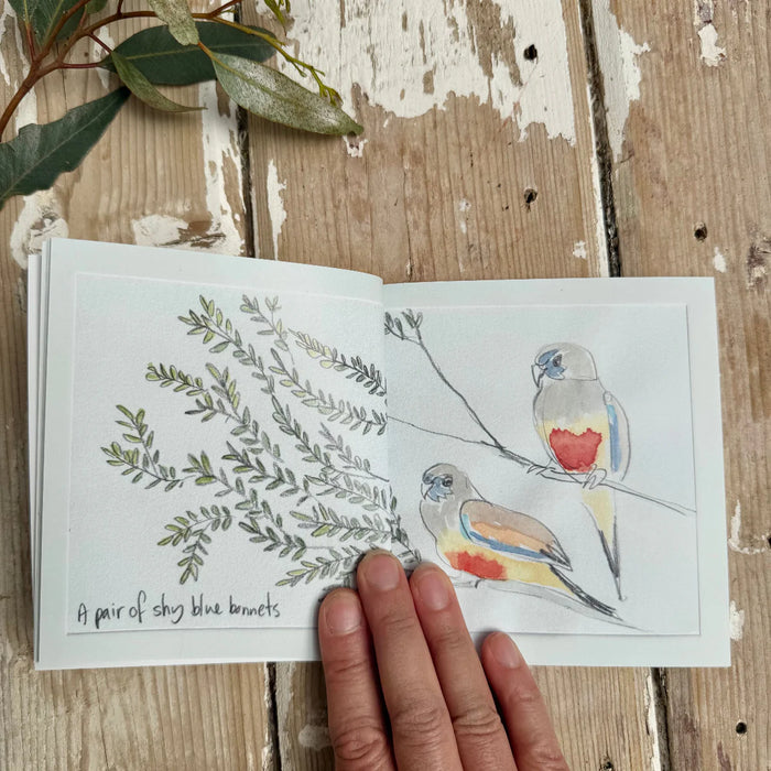 Trip To Port Augusta - Artist Minibook - Bridget Farmer