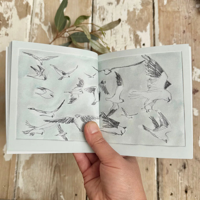Trip To Port Augusta - Artist Minibook - Bridget Farmer