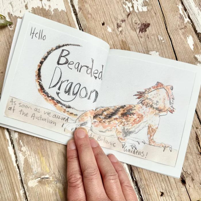 Trip To Port Augusta - Artist Minibook - Bridget Farmer