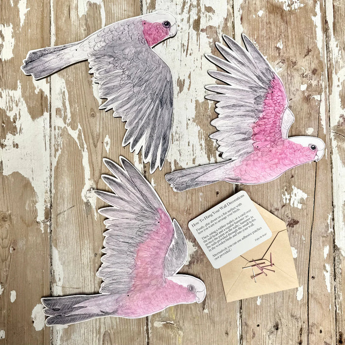 Bridget Farmer - Australian Aviary - Wall Decorations -Galahs