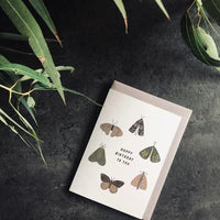 In The Daylight - Greeting Card - Birthday Insects