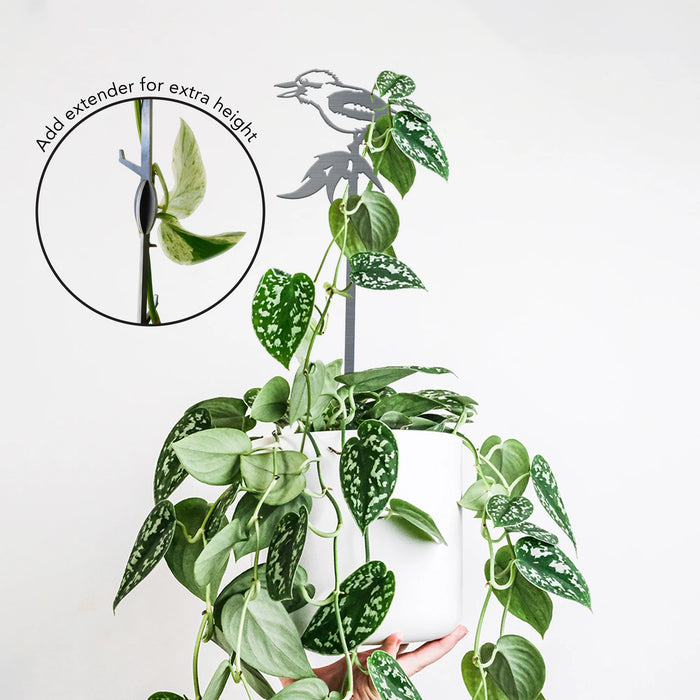 Metalbird - Plant Stake -Kookaburra