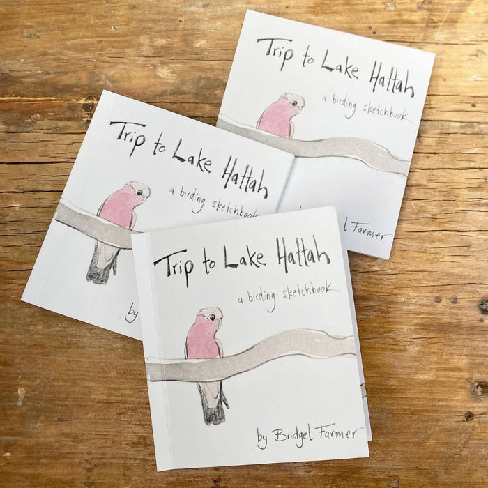 Trip to Lake Hattah - Artist Minibook - Bridget Farmer