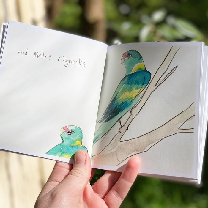 Trip to Lake Hattah - Artist Minibook - Bridget Farmer