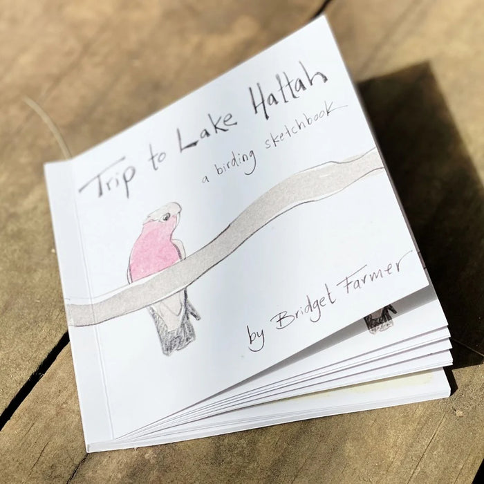 Trip to Lake Hattah - Artist Minibook - Bridget Farmer