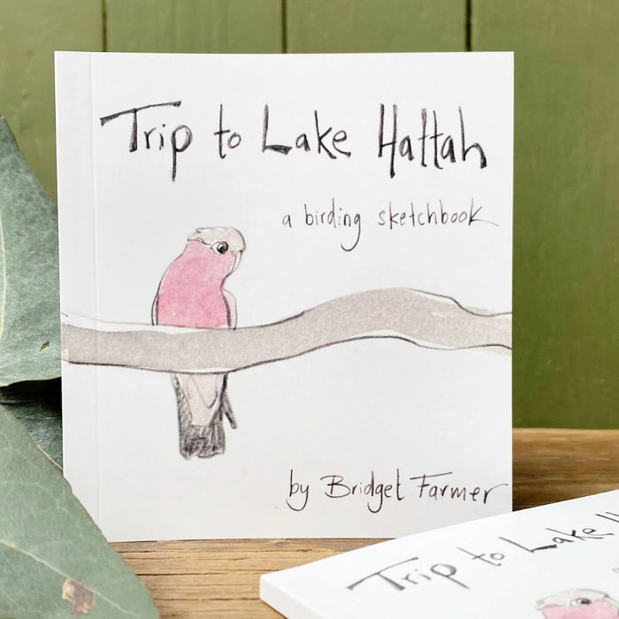 Trip to Lake Hattah - Artist Minibook - Bridget Farmer