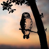 Metalbird - Garden Art - Southern Boobook Owl