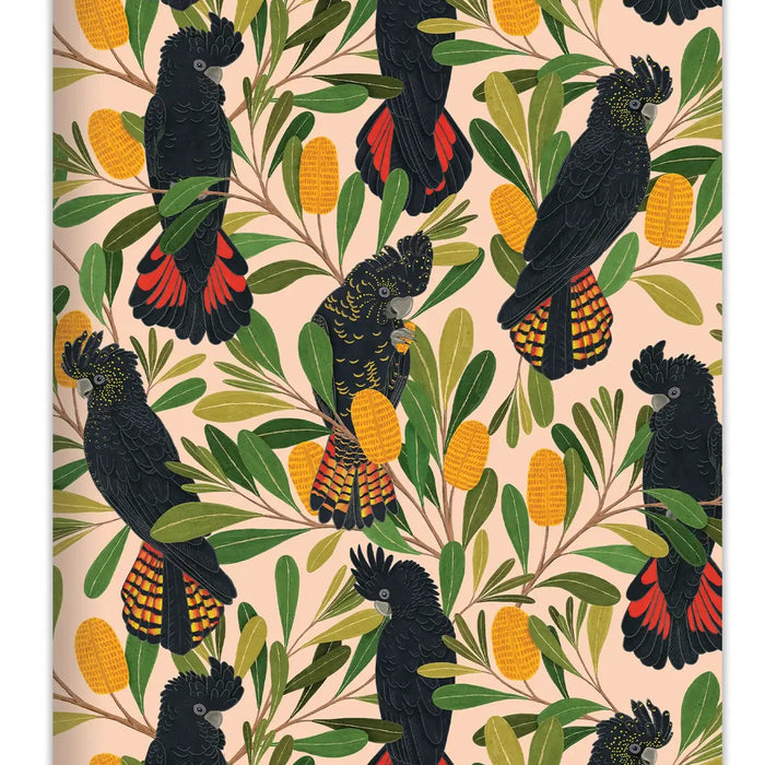 Negin Maddock - Pocket Notebook - Cockatoos & Banksia