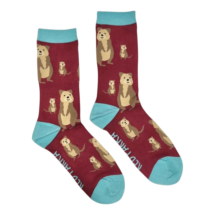 Red Parka - Kids' Socks - Quokka