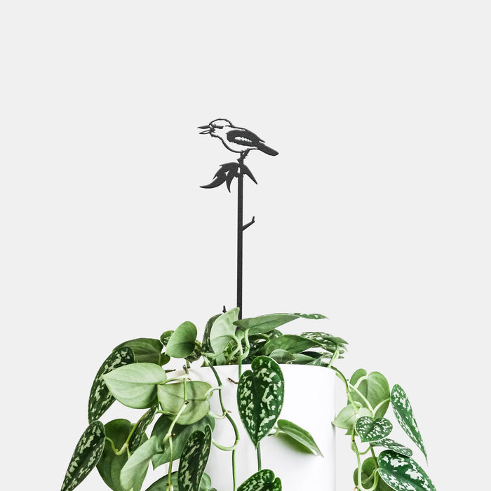 Metalbird - Plant Stake -Kookaburra