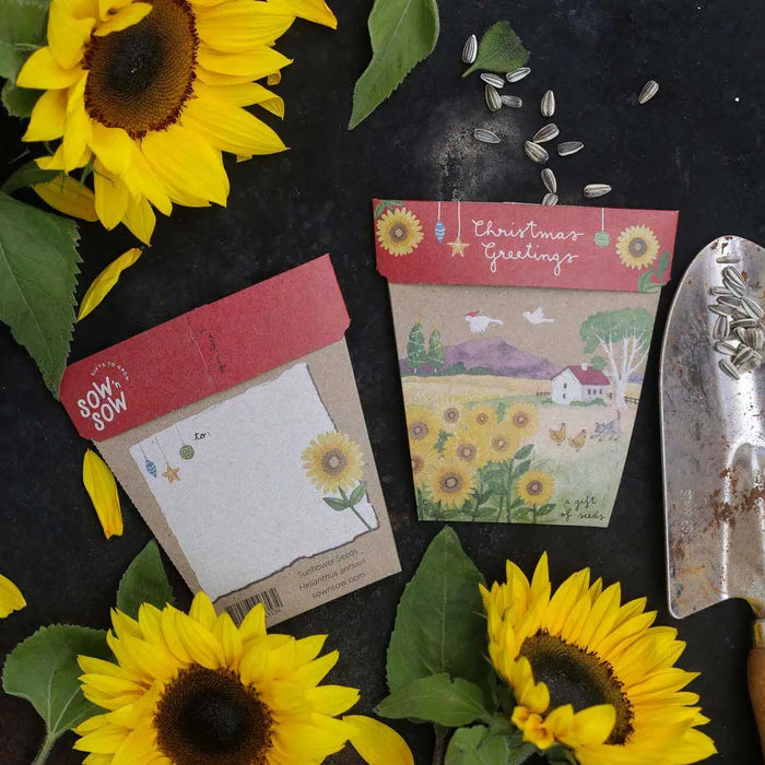 Sow 'n Sow - Gift of Seeds - Christmas Greetings - Sunflowers