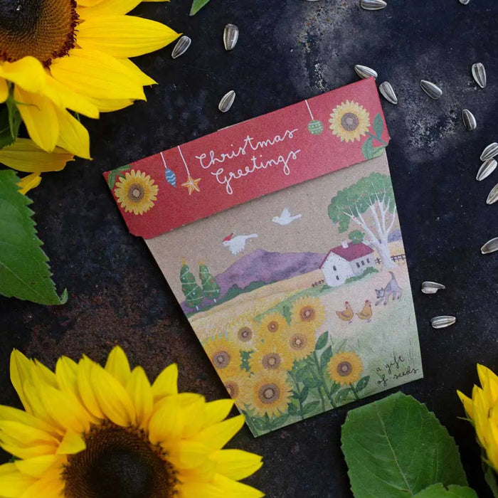 Sow 'n Sow - Gift of Seeds - Christmas Greetings - Sunflowers