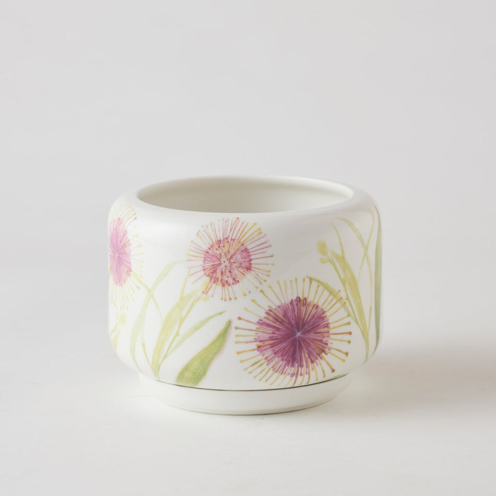 Angus & Celeste - Decorative Succulent Pot - Hakea Bloom